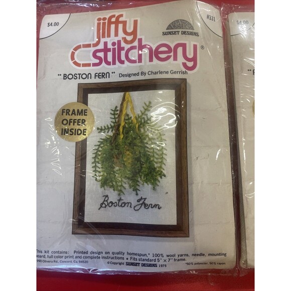 1975 Jiffy Stitchery Boston Fern Asparagus Fern Crewel Embroidery - Picture 2 of 4